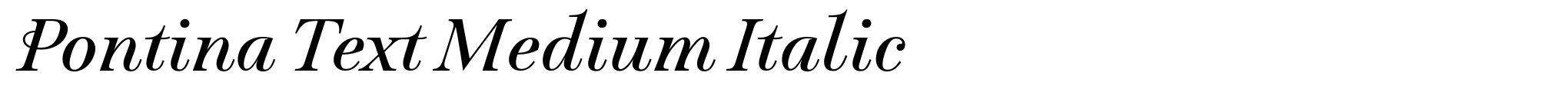 Pontina Text Medium Italic image